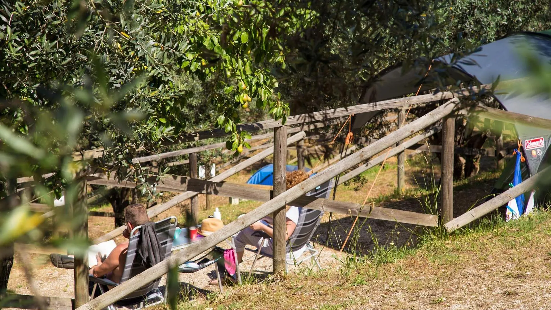 Camping Blucamp Natural Village Campiglia Marittima